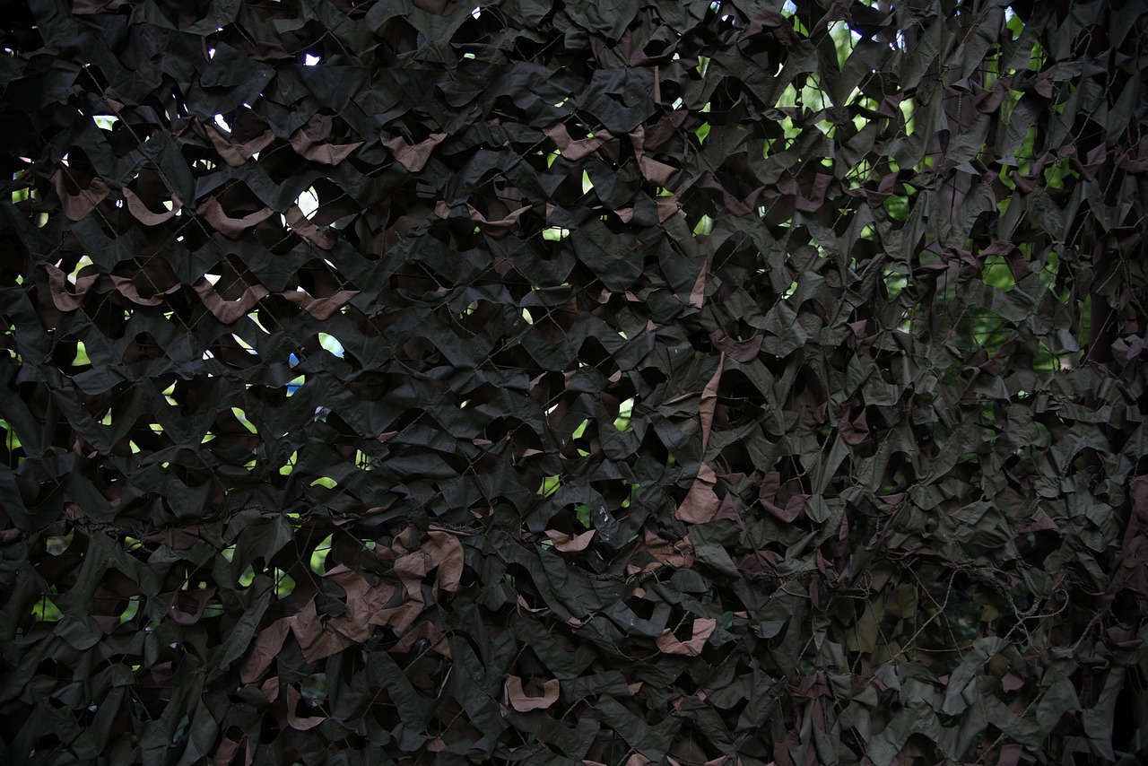 如何加强技术支持的监管与打击