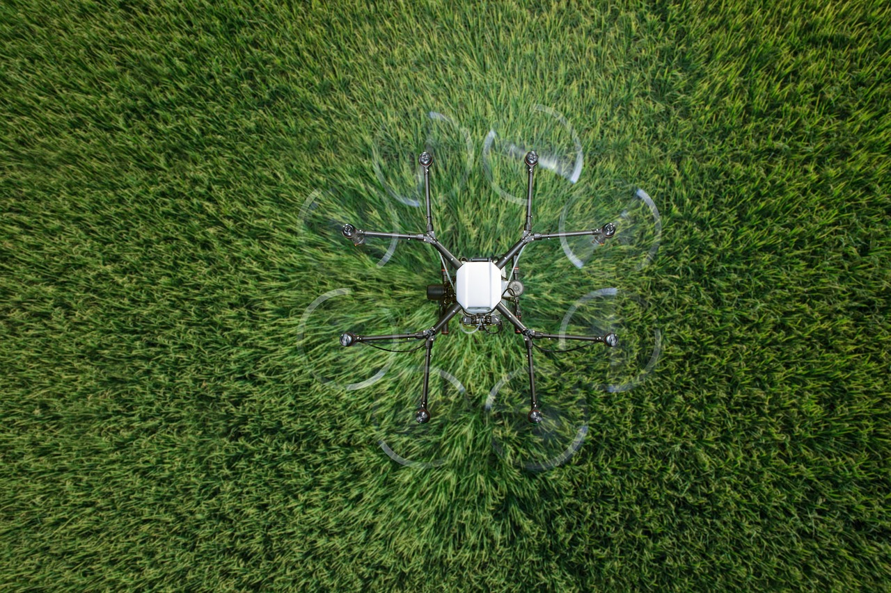 雪鹰领主辅助- 零元公司注册代理机构