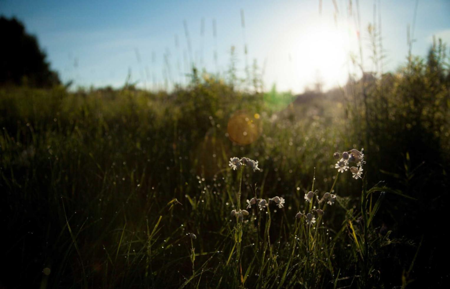 中国广电实名账号：安顿用户App详情下载教程
