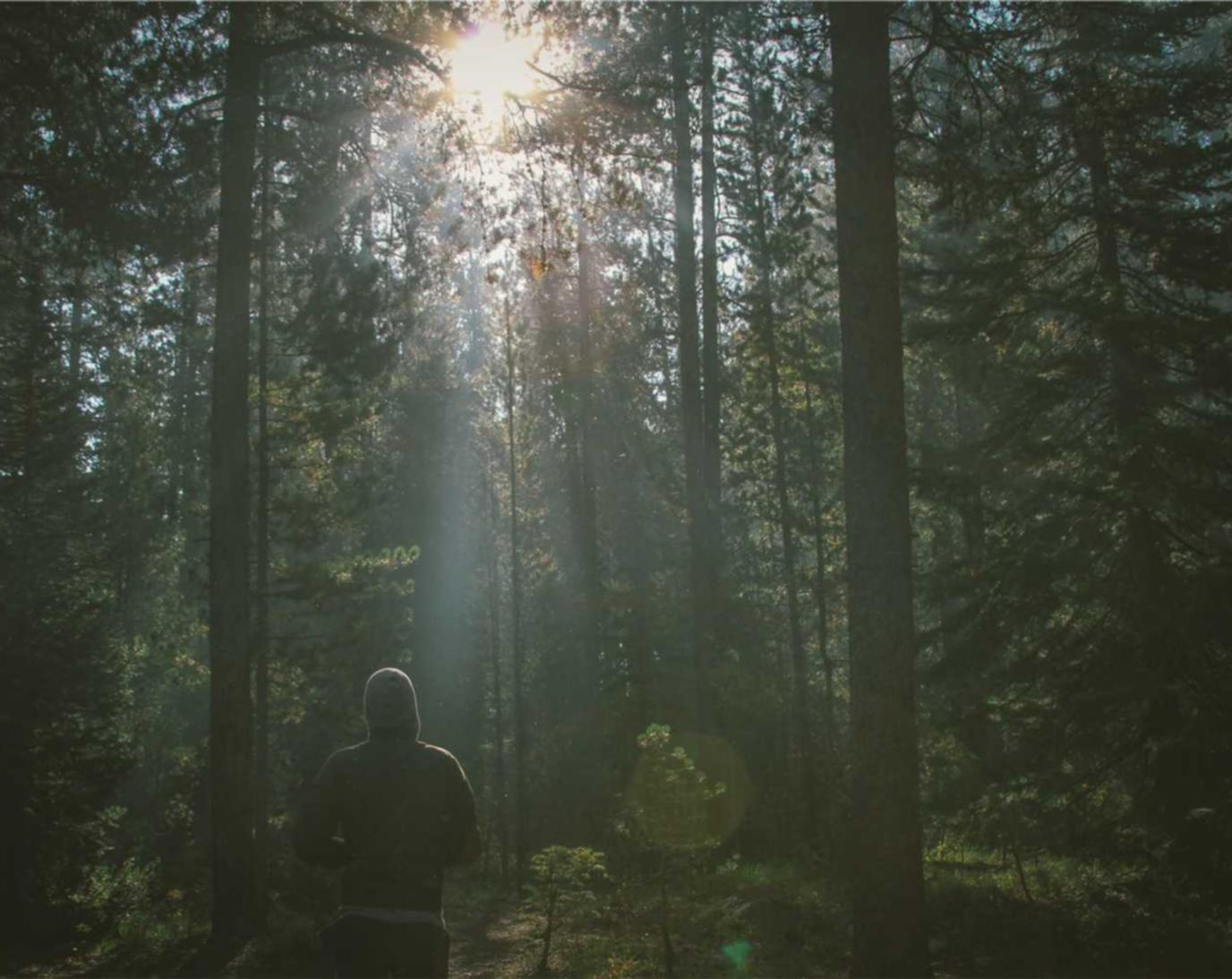 推特账号购买平台 注册