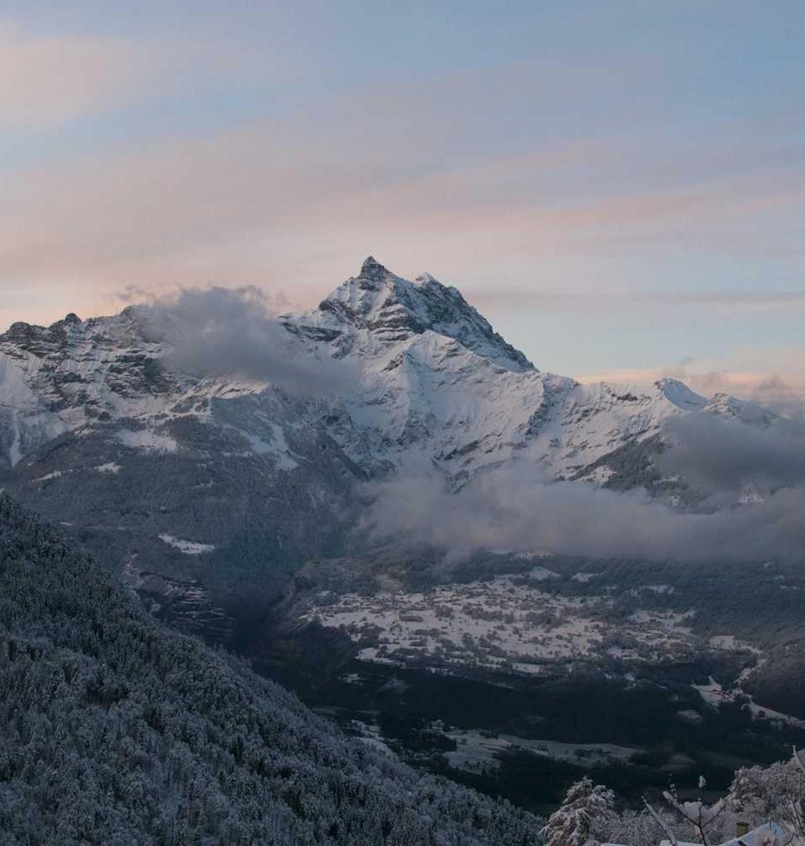 买微信号：太美试药app详情下载教程