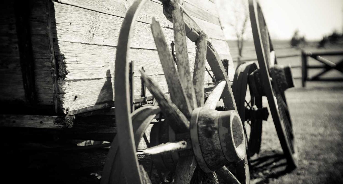 Peel百乐橙子爆珠：管件购买平台