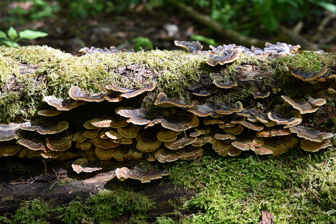 太阳2企业营销中数据检查的重要性