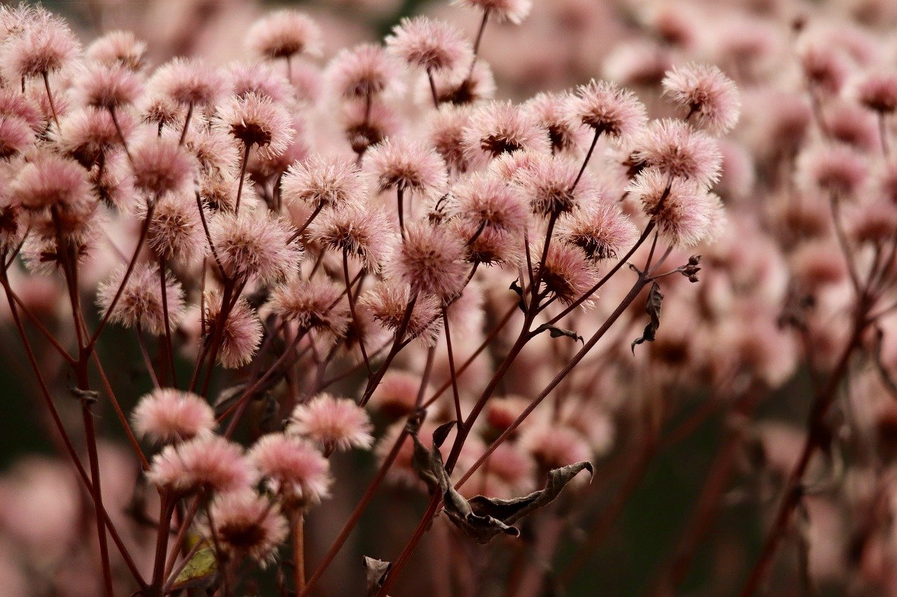 木盒蓝沉香（粗）：app如家酒店详情下载教程