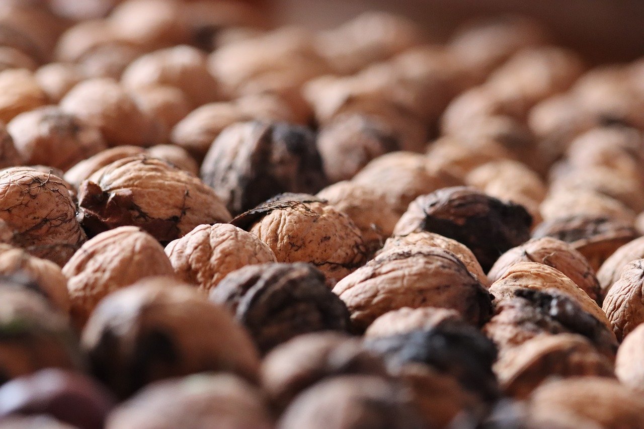 百度云实名账号:app模版哪里详情下载教程