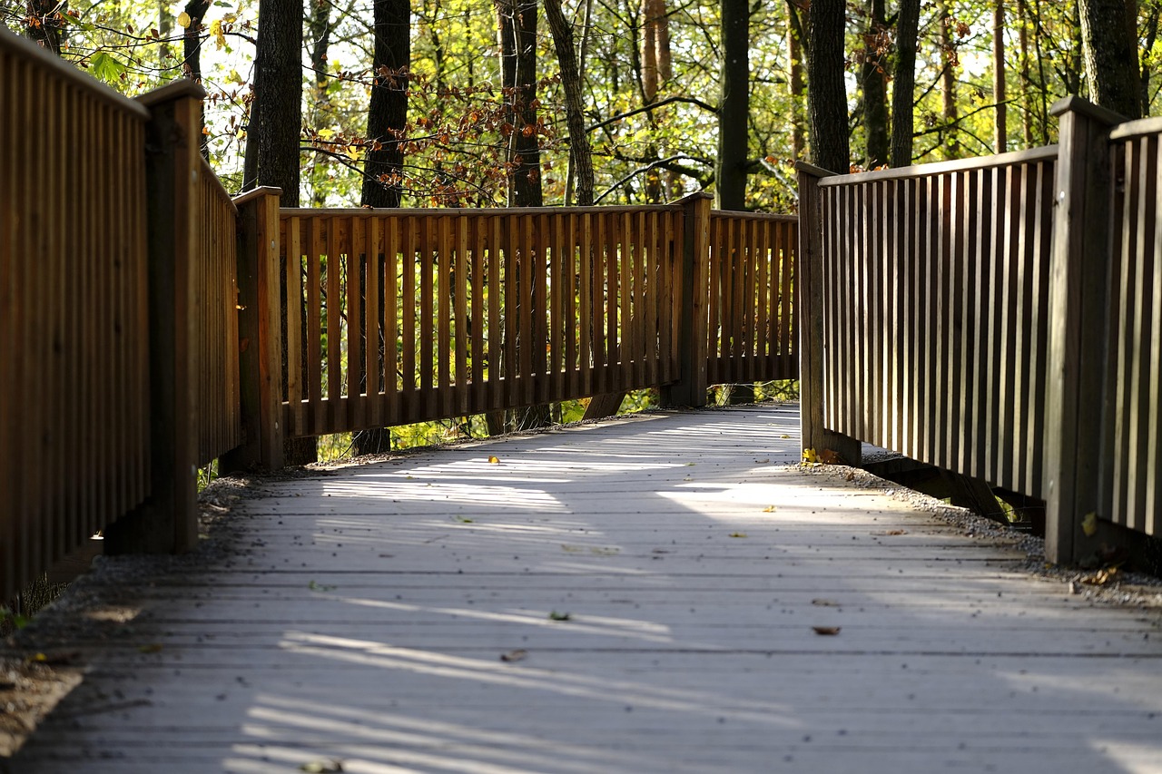 Mond梦都蓝莓：堪培拉注册公司代理